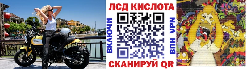 Наркотические марки 1,8мг  где продают наркотики  Дрезна 
