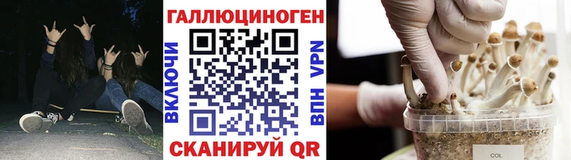 Псилоцибиновые грибы ЛСД Дрезна